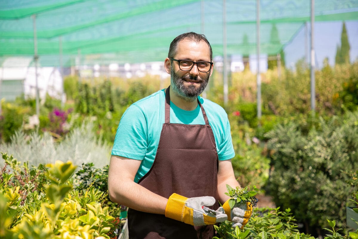 Positive male florist standing among rows with potted plants
